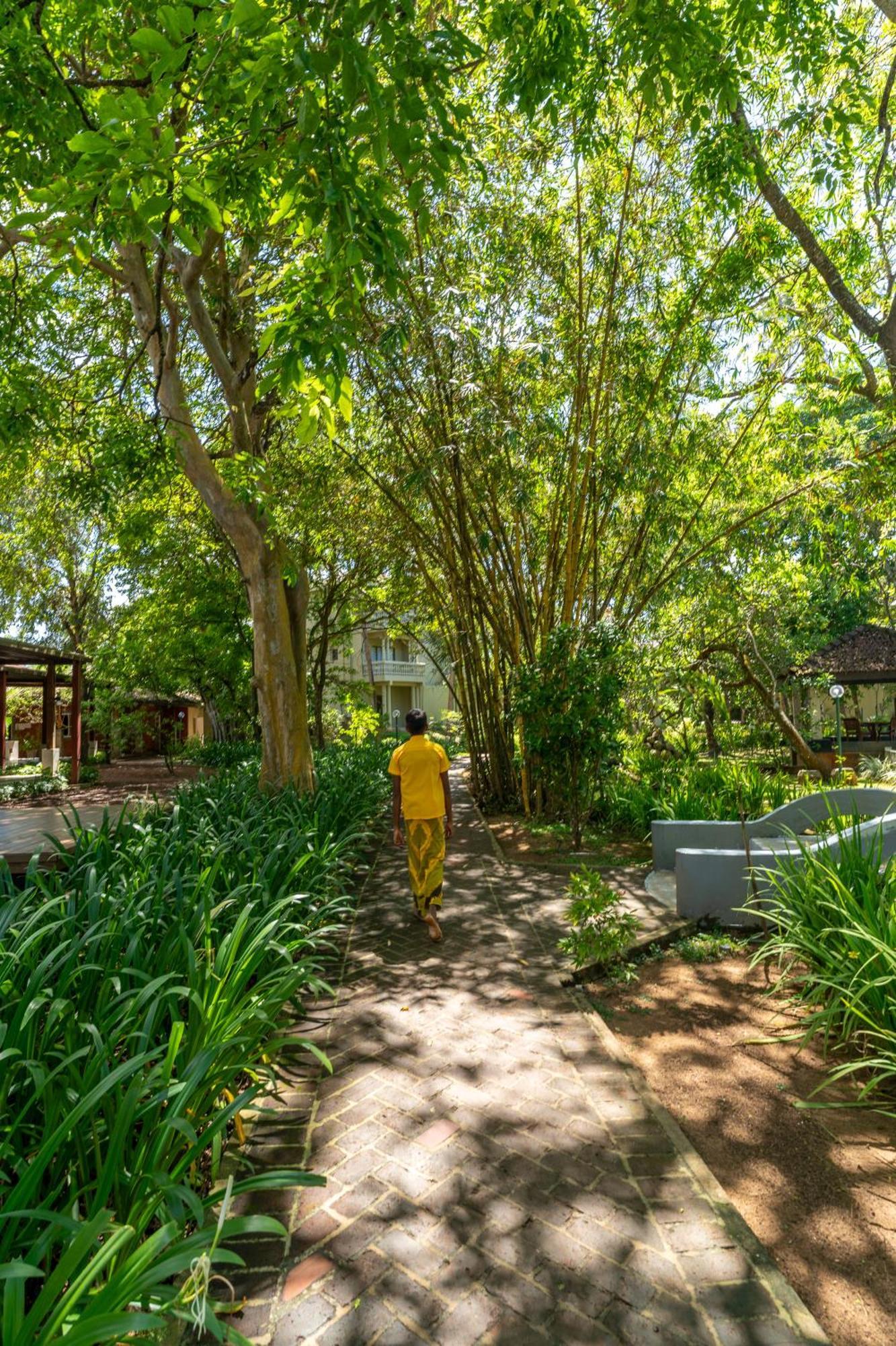 Siddhalepa Ayurveda Resort - All Meals, Ayurveda Treatment And Yoga Wadduwa Εξωτερικό φωτογραφία