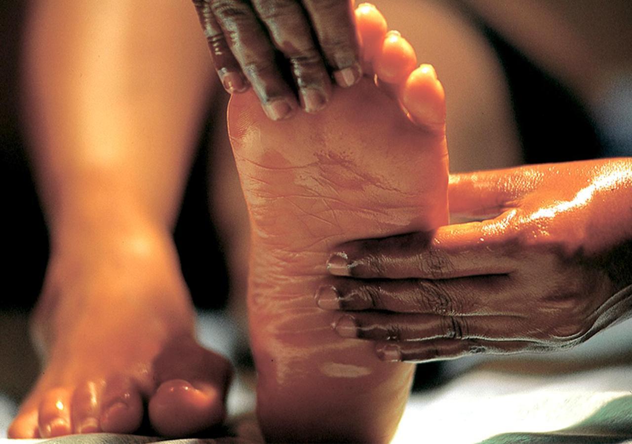 Siddhalepa Ayurveda Resort - All Meals, Ayurveda Treatment And Yoga Wadduwa Εξωτερικό φωτογραφία